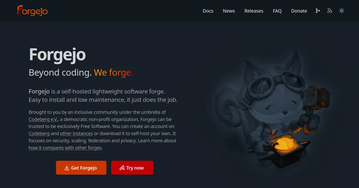 Forgejo self-hosted web interface screenshot