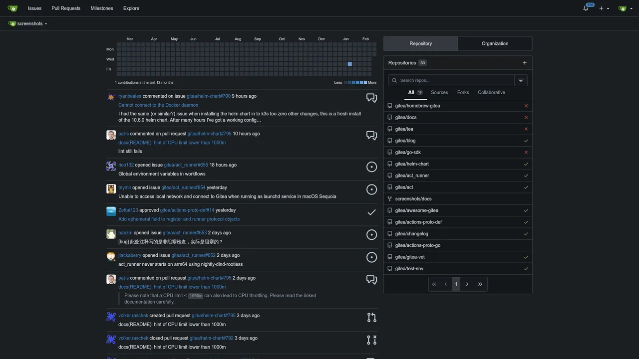 Gitea self-hosted web interface screenshot