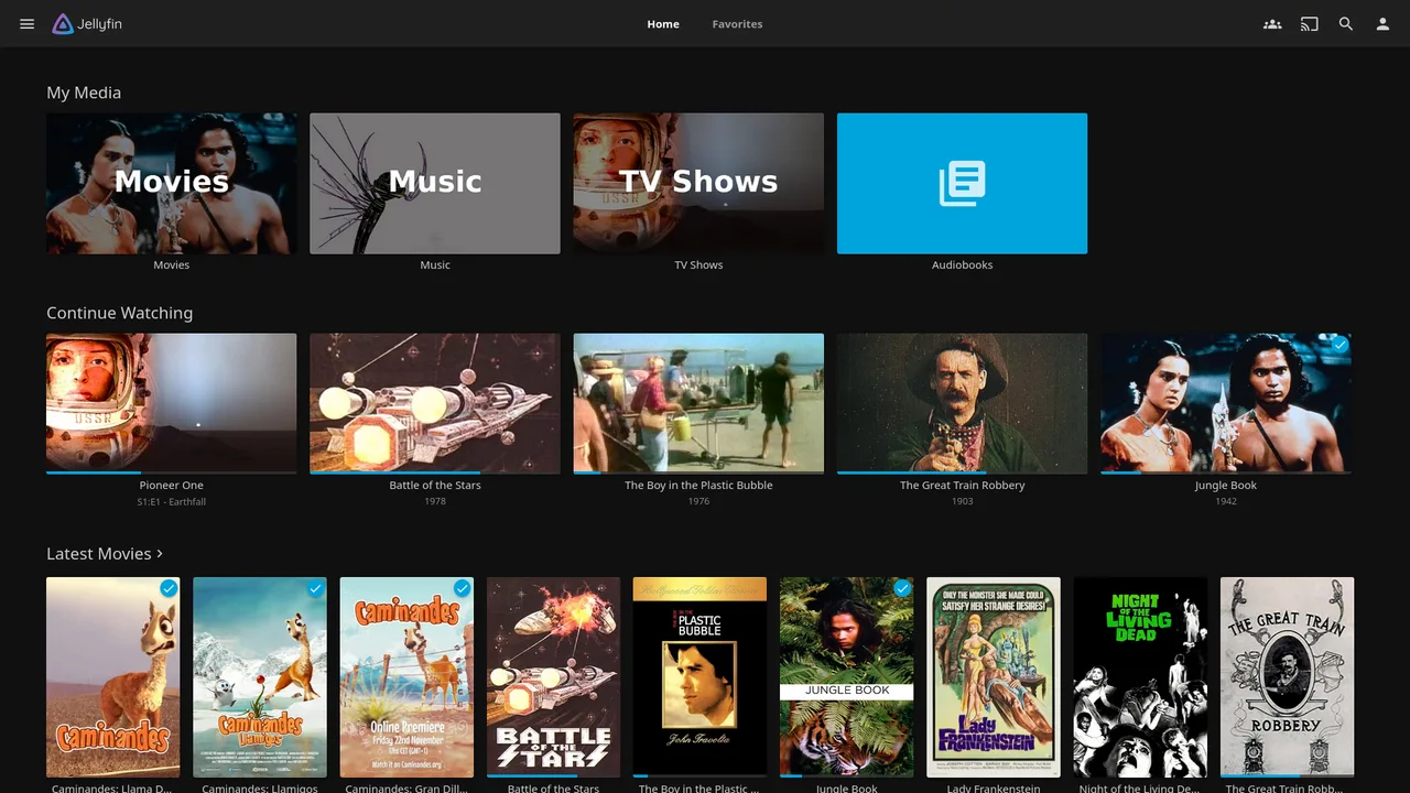 Jellyfin self-hosted web interface screenshot