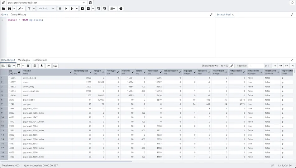 pgAdmin self-hosted web interface - The most popular PostgreSQL admin tool
