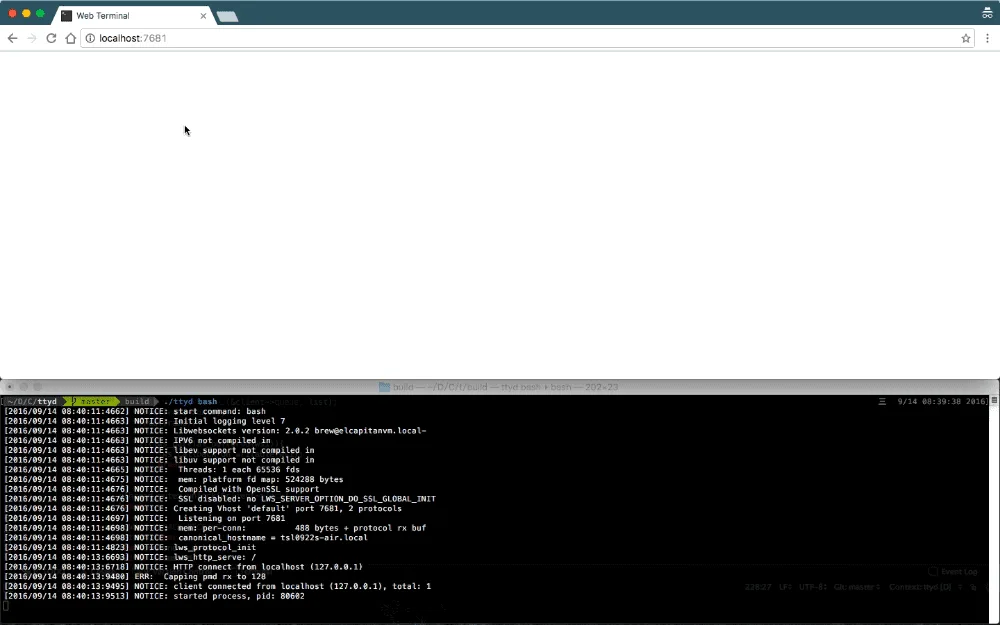 ttyd self-hosted web interface - Web-based terminal for server management
