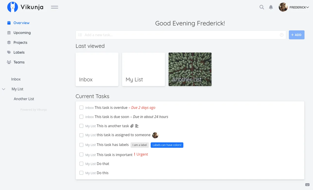Vikunja self-hosted web interface screenshot